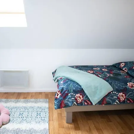 Appartement Duplex Equipe, Proche Centre-ville Colmar, Parking